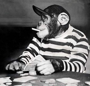 chimp_playing_poker_smoking-300x289